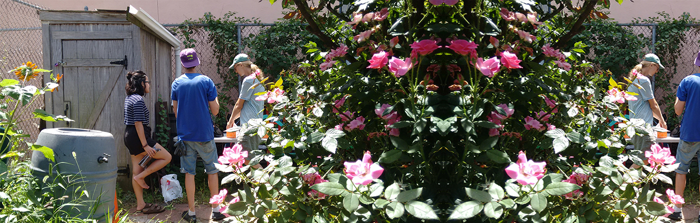 Sonia Sanchez Garden