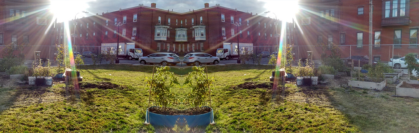 Temple's Vegetable Garden