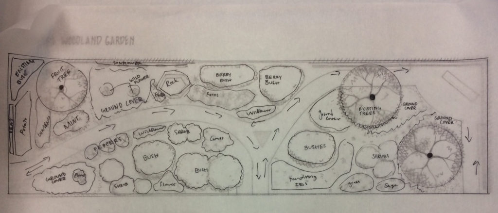 native woodland garden